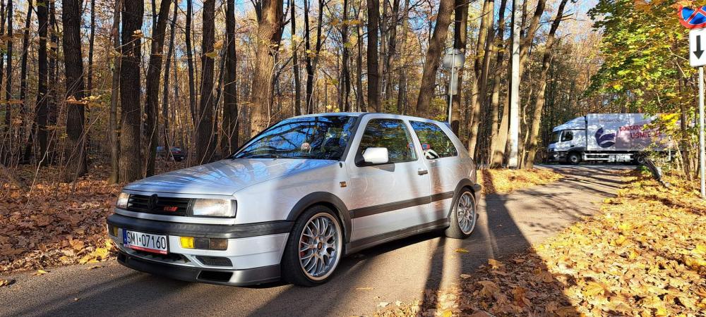 Volkswagen Golf (III 1H1) hatchback