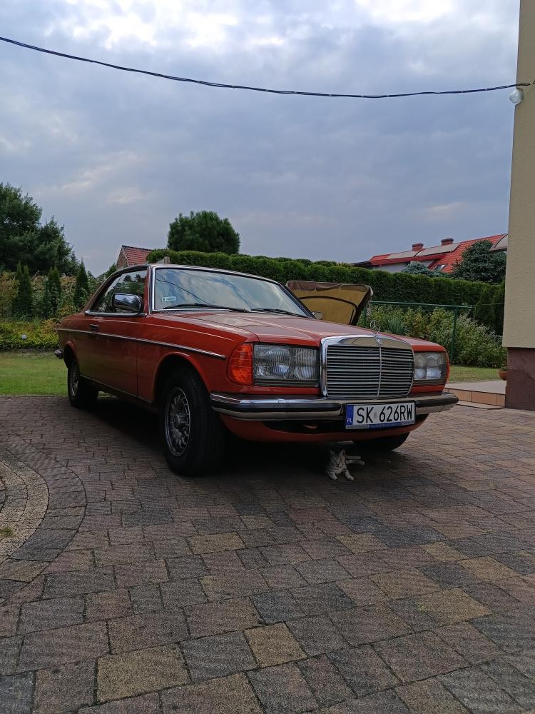 Mercedes W 123