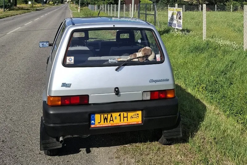 FSM Cinquecento